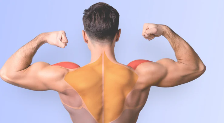 7 Cara Sederhana Menguatkan Ligamen Bahu